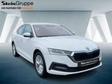 Skoda Octavia 1.4 TSI Ambition iV CarPlay Hyb. LED PDC - Skoda Octavia mit Hybrid-Antrieb: Limousine