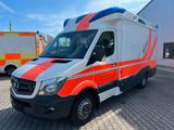 Mercedes-Benz Sprinter 519 CDI Tigis Ergo Ferno Trage - Angebote entsprechen deinen Suchkriterien