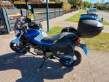 Suzuki Gladius - Angebote