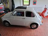 Fiat 500f Bj68 - Fiat 500 aus 1969