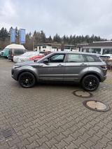 Land Rover Range Rover Evoque in TOP Zustand!! - Land Rover Gebrauchtwagen in Freiburg