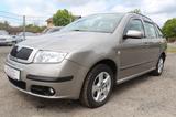 Skoda Fabia Combi Ambiente - Skoda Fabia aus 2007