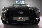 Ford Mustang 2.3 EcoBoost CABRIO~DEUTSCH+UNFALLFREI+R - Ford Mustang: Ecoboost