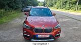 BMW X1 x20i xLine Pano, Head up, Navi Plus, Leder - BMW X1 in Augsburg