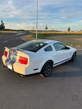 Ford Mustang Shelby GT500 mit Wertgutachten - Ford Mustang: 500gt Shelby