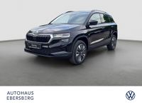 Skoda Karoq - Vorschau Bild 1