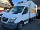 Mercedes-Benz 316 CDI Kühlkoffer ThermoKing + Trennwand 1.HD - Mercedes-Benz The