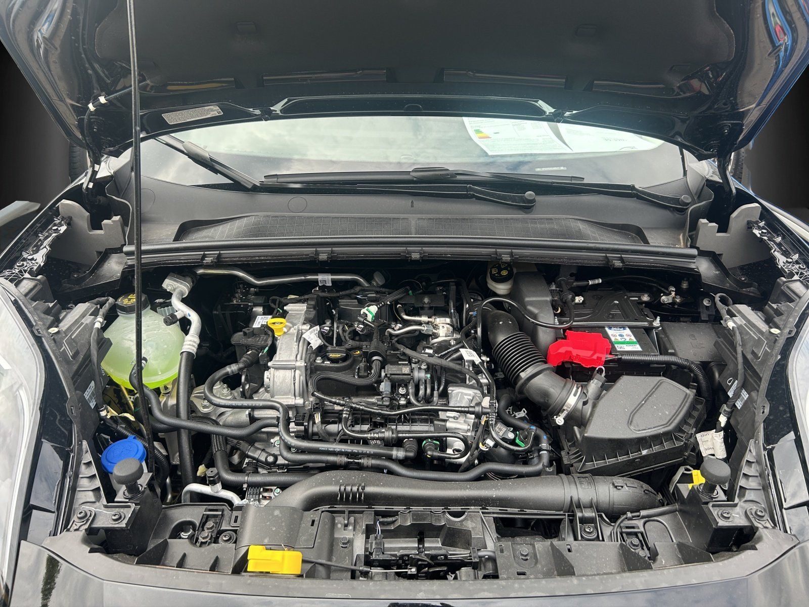 Fahrzeugabbildung Ford Puma 1,0 Titanium MHEV Automatik