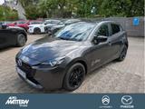 Mazda 2 Hybrid AC|CarPlay|Kamera|SHZ|LED|Alu - Mazda 2 in Bielefeld