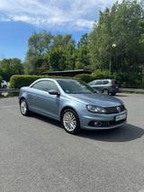 Volkswagen VW Eos 1.4 TSI 160PS- SERVICE NEU! CHECKHEFTGEPF - Volkswagen Eos: Cabrio