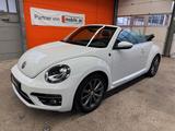 Volkswagen Beetle Cabriolet 1.4TSI Design Navi Xenon Fender - Volkswagen Beetle: Fender