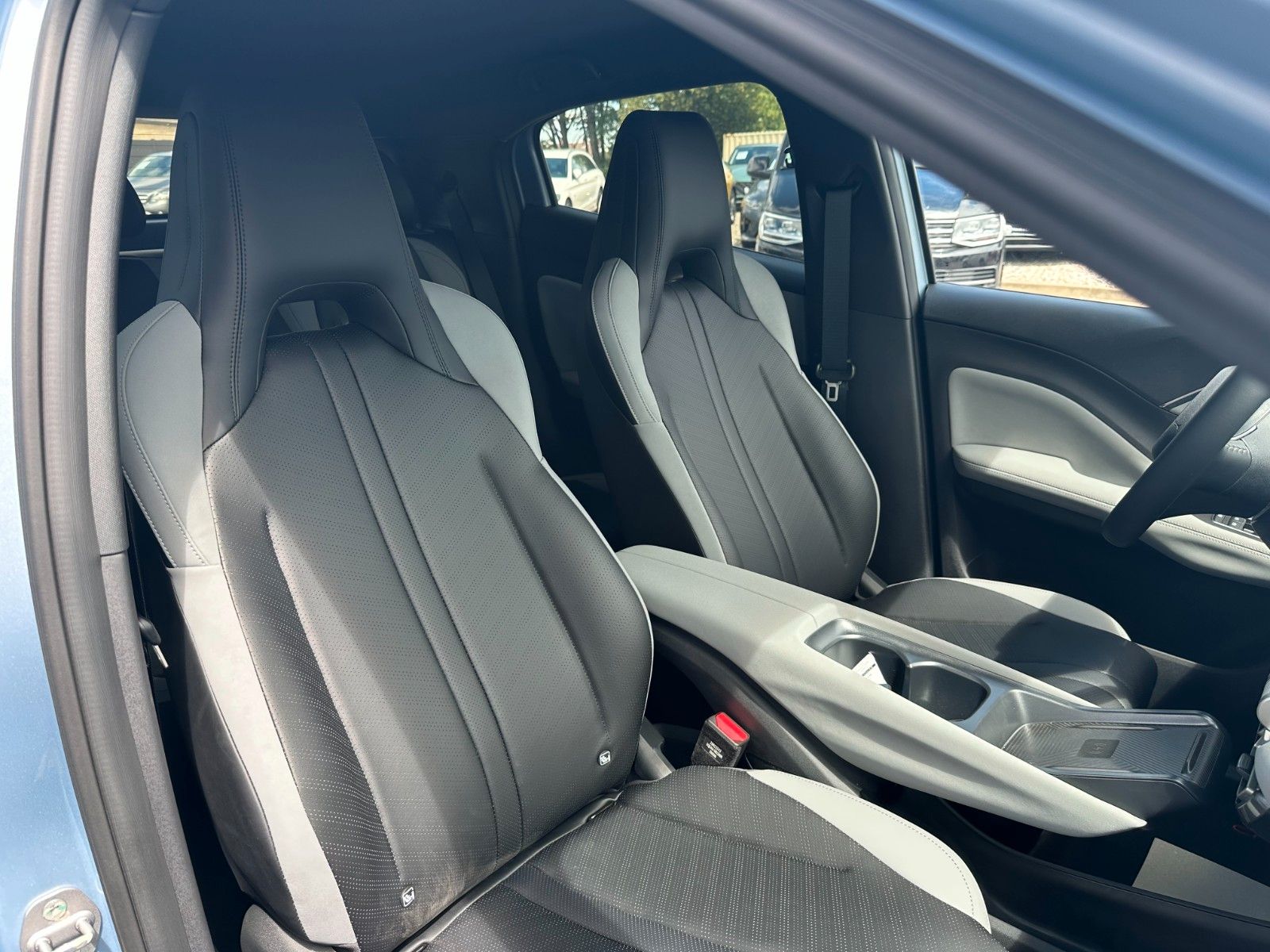 BYD DOLPHIN SURF