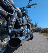 Suzuki VS 1400 Intruder VX 51 L - SUZUKI BENZIN CHOPPER VS1400 INTRUDER VX51L