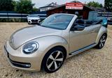 Volkswagen Beetle Cabrio 2.0 TDI Sportpaket Topaustattung - Volkswagen Beetle: TDI