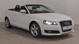 Audi A3 Cabriolet S line Sportpaket / plus - Audi A3: Cabrio, Line