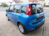 Fiat Panda 1.0 GSE Pandina Hybrid City Paket Radio - Fiat Panda mit Benzin-Antrieb: Kleinwagen