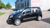 Fiat Panda Pop 1,2 69 PS FFB+ZV +Zahnriemen neu  - Fiat Panda: 1.2