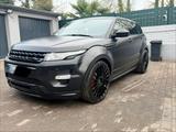 Andere Range Rover Evoque top Zustand TÜV Inspekt... - Andere in Duisburg