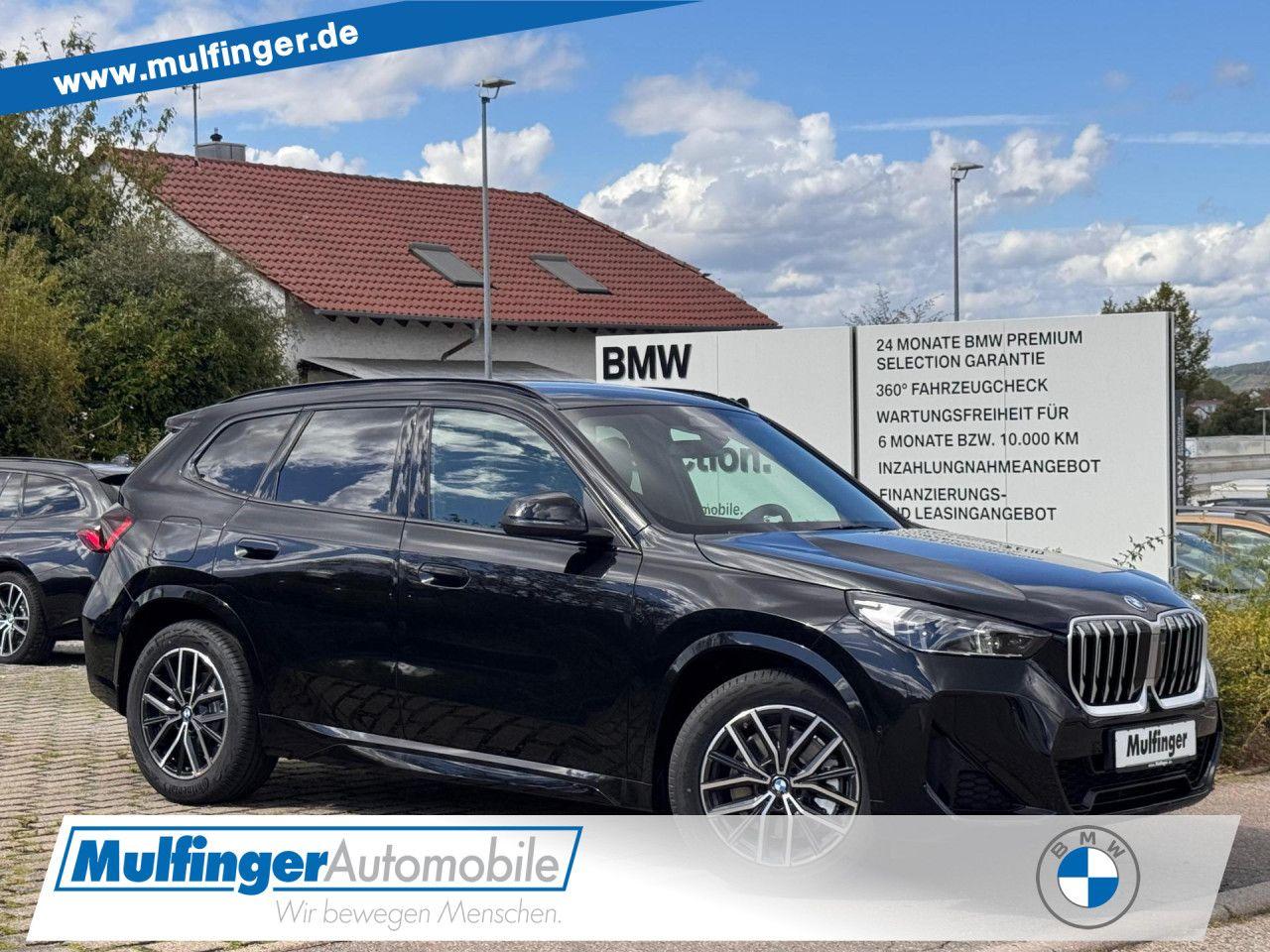 BMW X1 xDr.30e M Sport AHK Ha/Ka Kamera 18" Navi LED