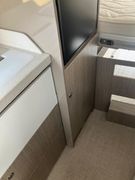 Challenger Van Road Edition V 210 Emotional & Urlaubsfertig