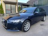 Audi A4 Avant quattro basis MATRIX/ACC/AHK/NAVI - Audi A4: Allradantrieb