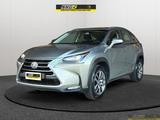 Lexus NX NX 300h Executive - Lexus aus 2015