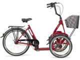 pfautec Siena 2022 - Größe: Uni - pfautec E-Bikes