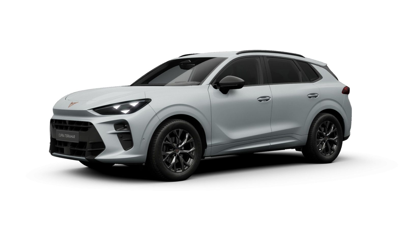 Cupra Terramar - Bild 2