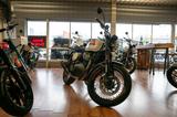 Royal Enfield BEAR 650, Lieferservice, sofort lieferbar - Royal Enfield Bear 650