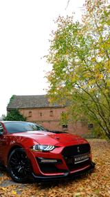 Ford Mustang 2.3  Shelby gt 500 F.Performance - Ford Mustang: Performance