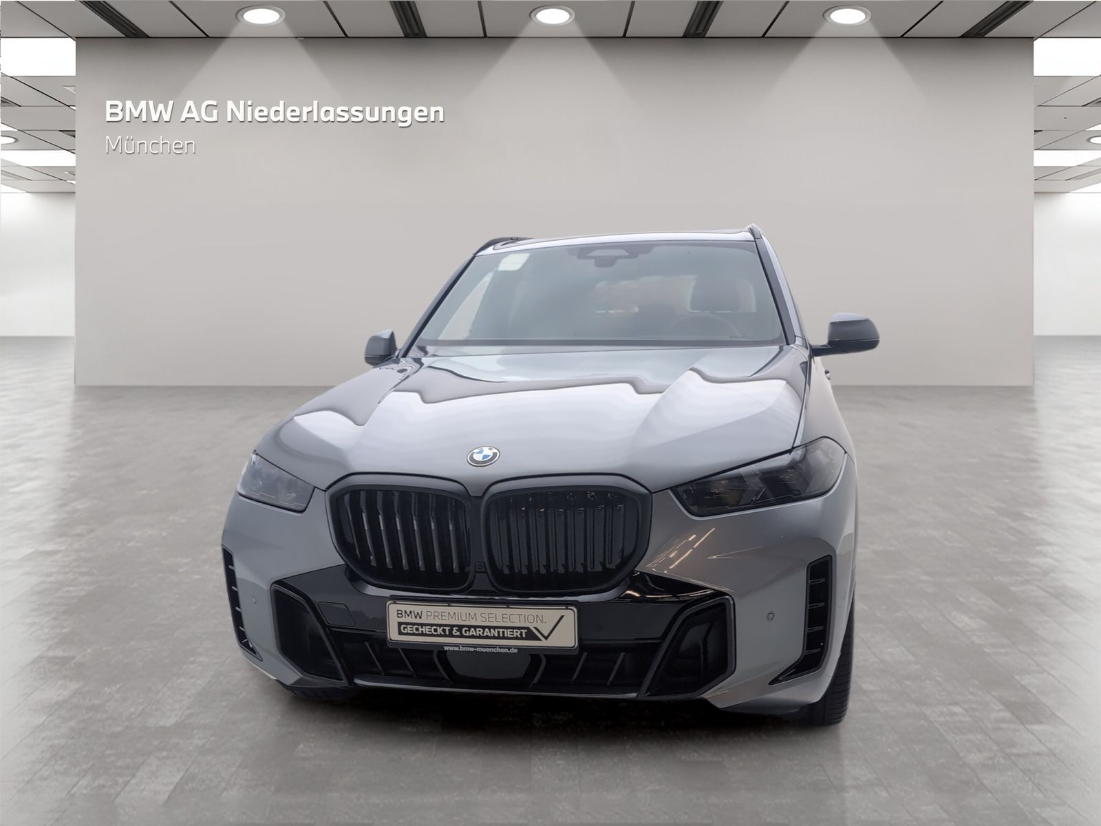 BMW X5 - Bild 4