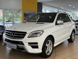 Mercedes-Benz ML 250 CDI AMG-LiNE*PANO*AiRMATiC*Bi/XENON*360°* - Mercedes-Benz ML 250 aus 2015