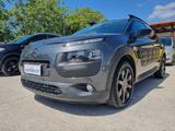 Citroën Citroen C4 Cactus BlueHDi 100 Shine - Citroën C4 Cactus Kombi Gebrauchtwagen
