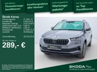 Skoda Karoq - Vorschau Bild 2