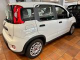 Fiat Panda Base 1.0 GSE Hybrid - Fiat Panda Gebrauchtwagen in Bremen