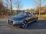 Audi A3 Cabriolet S-Line/TempoSitzheizung/Klima/8Fach - Audi A3: 8t