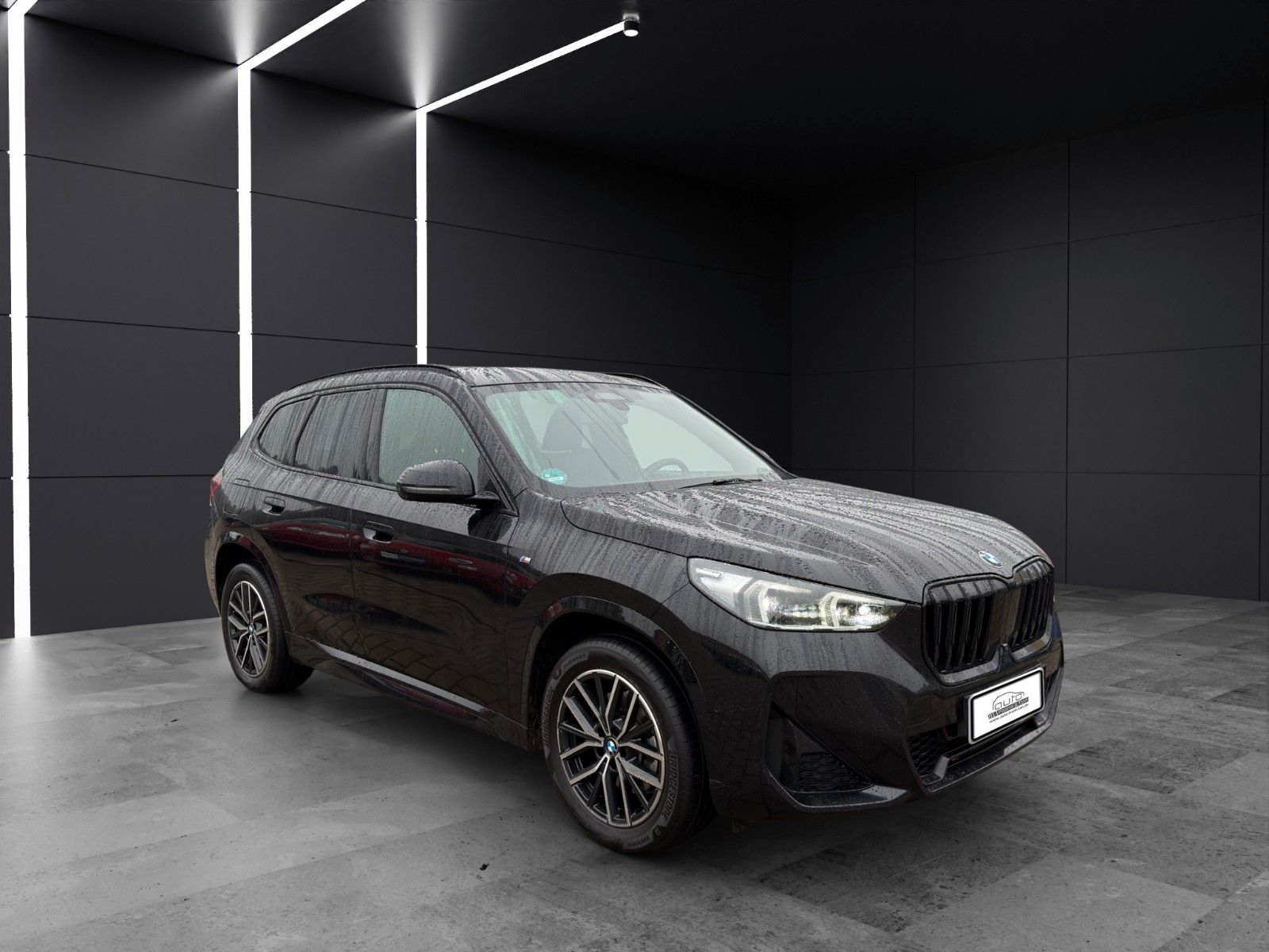 Fahrzeugabbildung BMW X1 sDrive M Sport*3DCam*Hifi*Harman*SitzHZ*DAB*