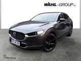 Mazda CX-30 2.5 SkyactiveG 140 Automatik Homura*LED*RF - Mazda CX-30 mit Hybrid-Antrieb: Homura