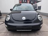 Volkswagen Beetle - Volkswagen Beetle in Köln