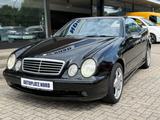 Mercedes-Benz CLK 55 AMG*Cabrio* - Mercedes-Benz: Clk 55