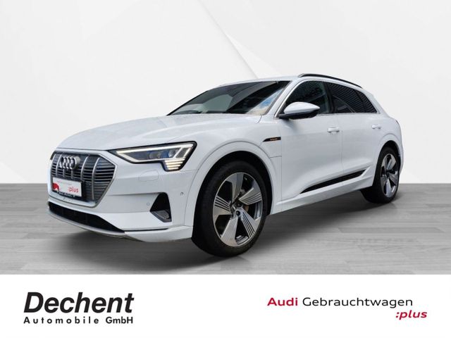 Audi e-tron advanced 55 quattro MatrixLED HeadUp Stad