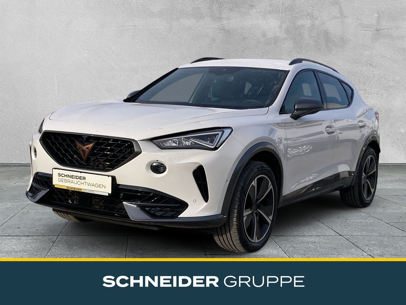 Cupra FORMENTOR 1.5 TSI DSG AHK+ACC+LED+KLIMA+DAB+