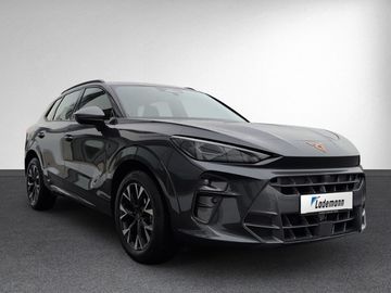 Cupra Terramar - 5