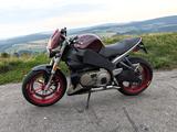 Buell XB 12 S - 25th Anniversary Signature Edition - Offers matching your search criteria