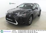 Lexus UX 300e Aut. LED-Xenon Navi Leather-Alcantara K - Lexus Elektroautos