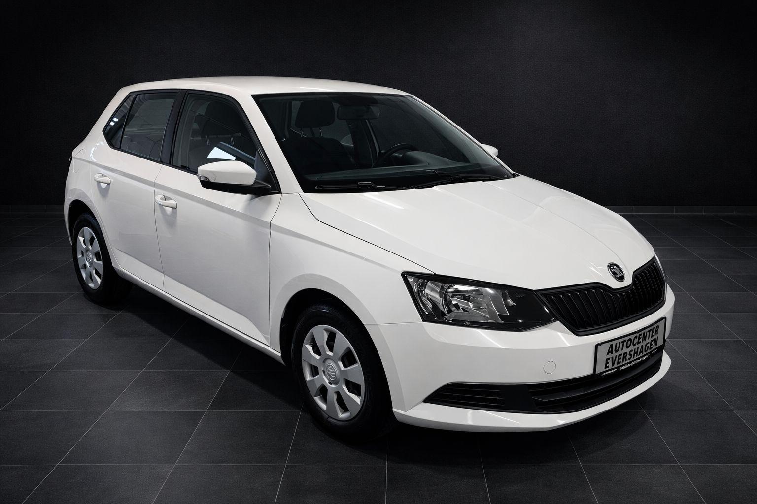 Skoda Fabia Active/Klima/HU&AU NEU