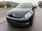 Volkswagen Beetle Lim. Allstar BMT - Volkswagen Beetle in Bonn