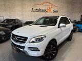 Mercedes-Benz ML 350/CDI/BlueTec/PANO/AHK/RFK/2.HAND/DIGISERVI - Mercedes-Benz ML 350: Bluetec
