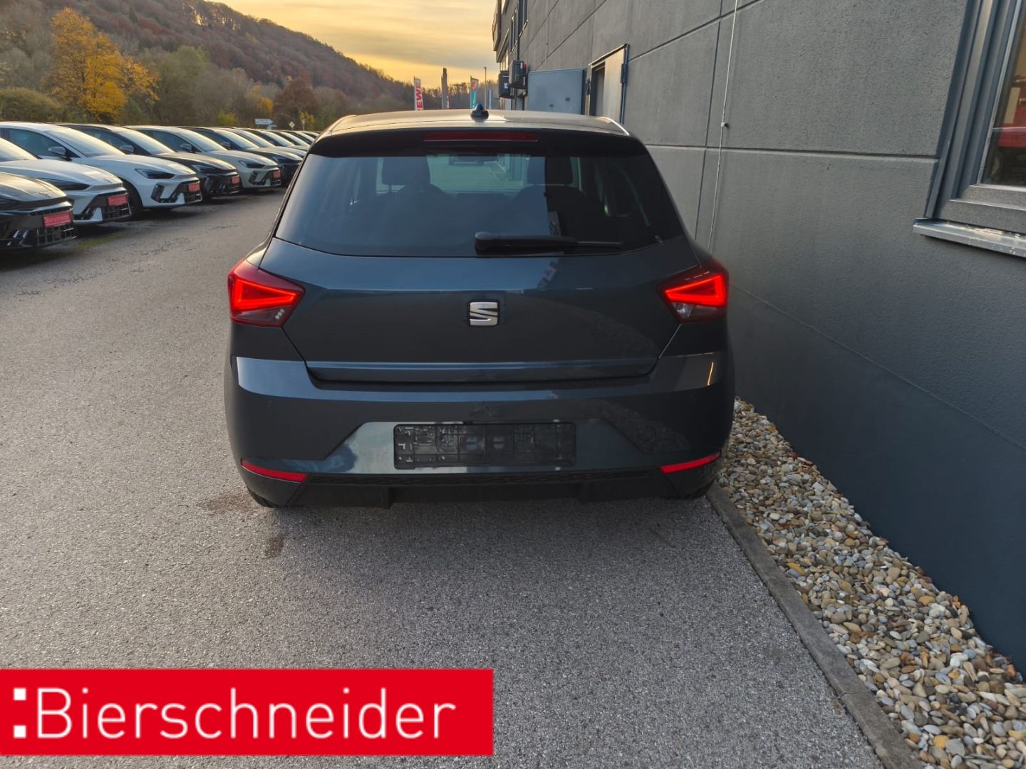 Seat Ibiza - Bild 4