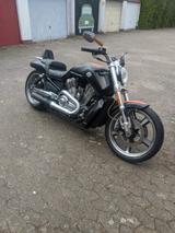 Harley-Davidson V-rod Muscle  - Offers